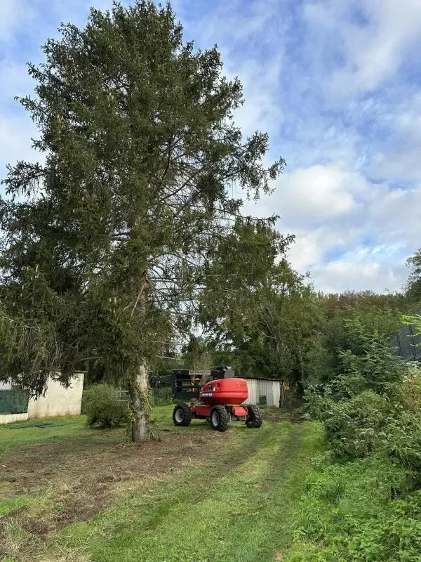 Arbo’tige galerie (72)