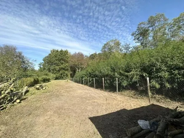 Arbo’tige galerie - 2025-12-09T092148.443