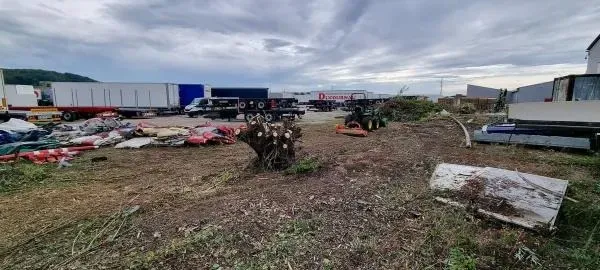 Arbo’tige galerie - 2025-12-09T092152.167