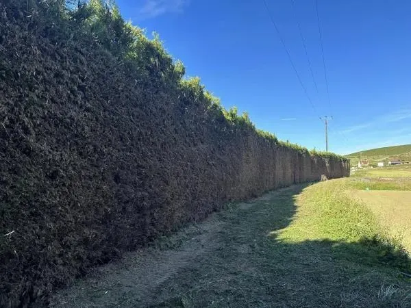 Arbo’tige galerie - 2025-12-09T092144.234