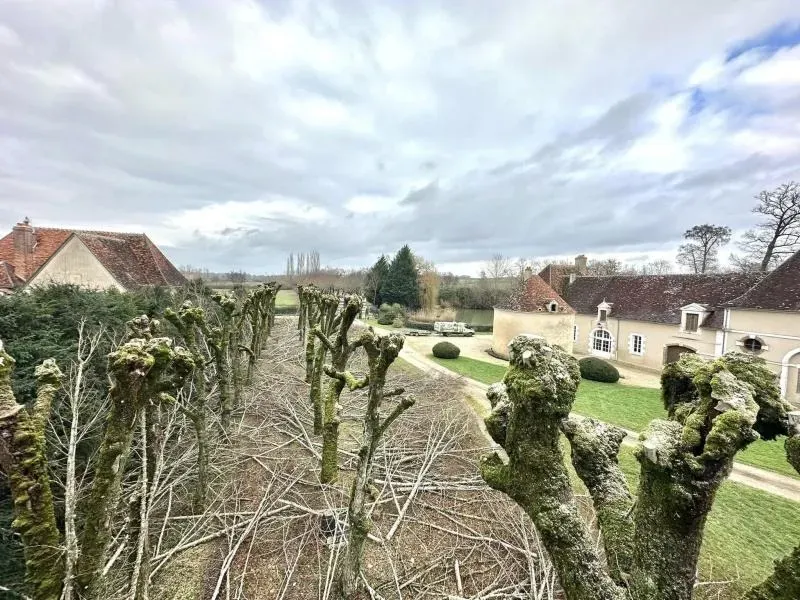 Arbo’tige galerie (27)