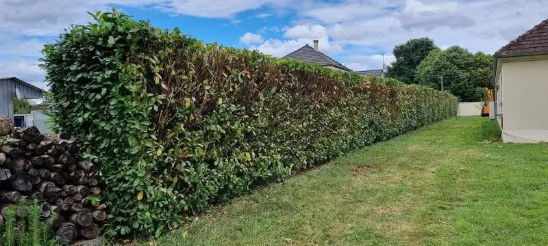 Arbo’tige galerie (87)