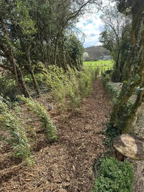 Arbo’tige galerie (68)