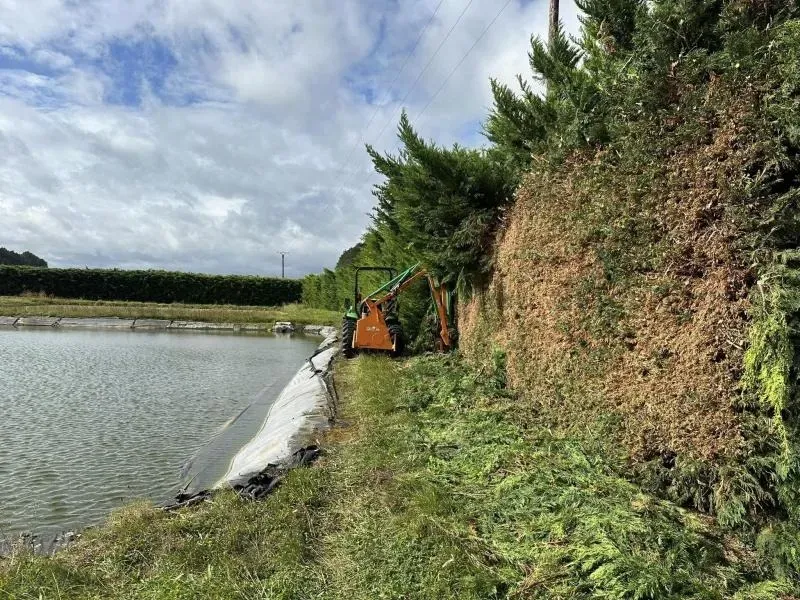 Arbo’tige galerie (40)