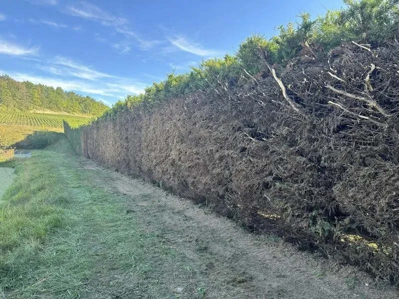 Arbo’tige galerie (41)