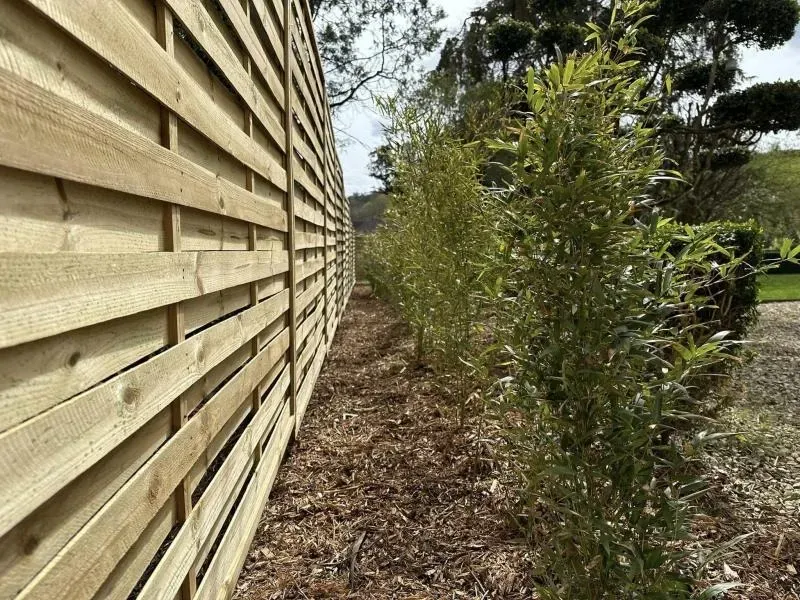 Arbo’tige galerie (35)