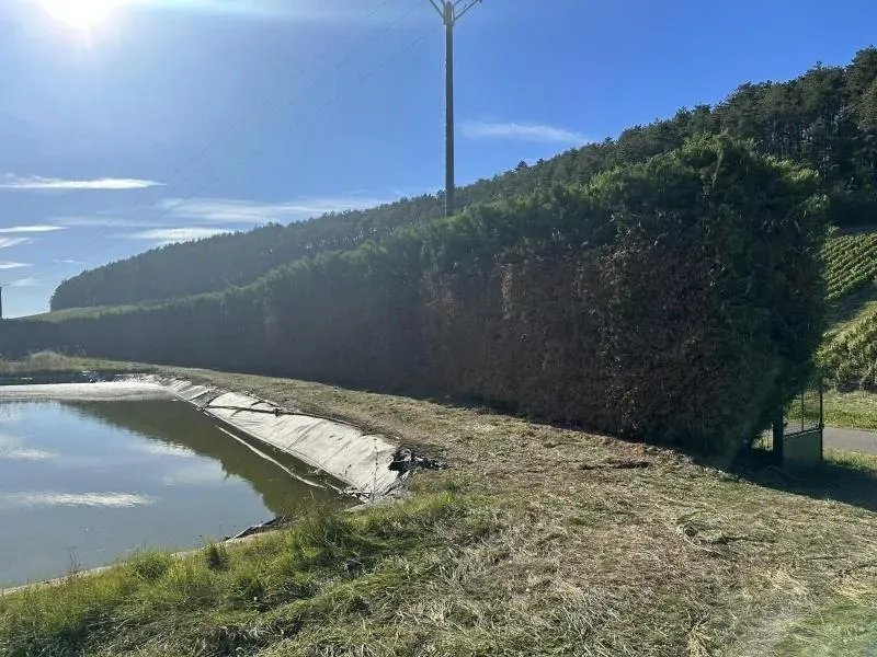 Arbo’tige galerie (29)