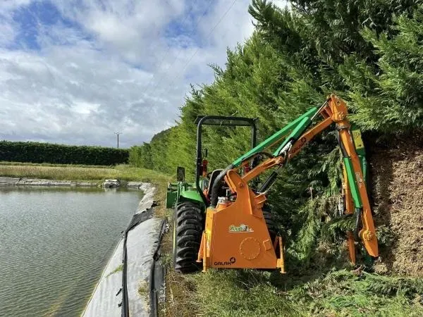 Arbo’tige galerie - 2025-12-09T092146.423