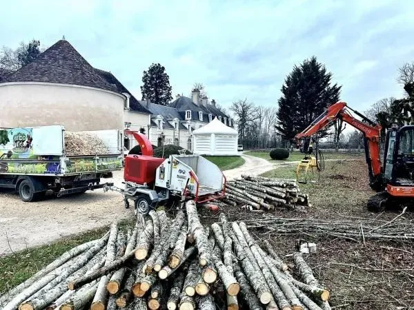 abattage près de Saint-Georges-sur-Baulche